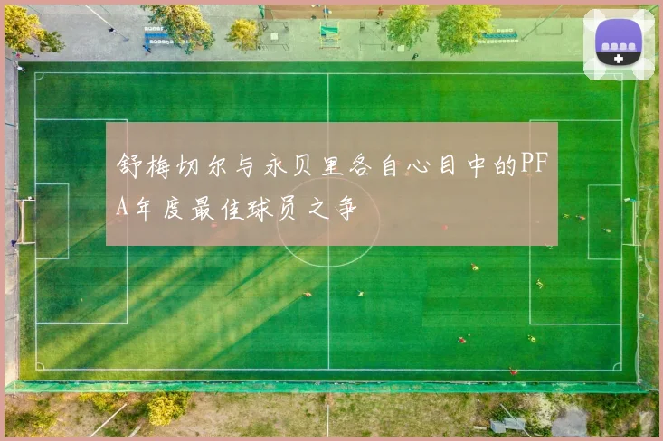 舒梅切尔与永贝里各自心目中的PFA年度最佳球员之争